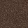 Mohawk Carpet: Quality Feeling Chocolate Chip